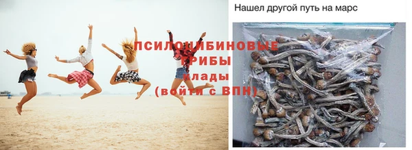 сатива Майский
