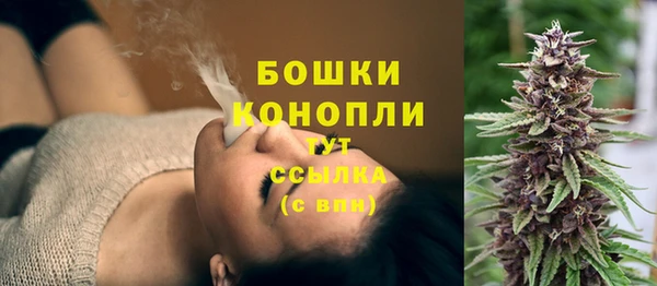 дмт Магас
