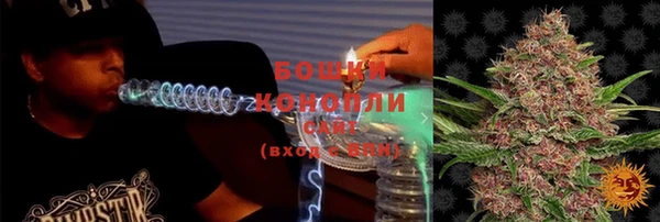 сатива Майский