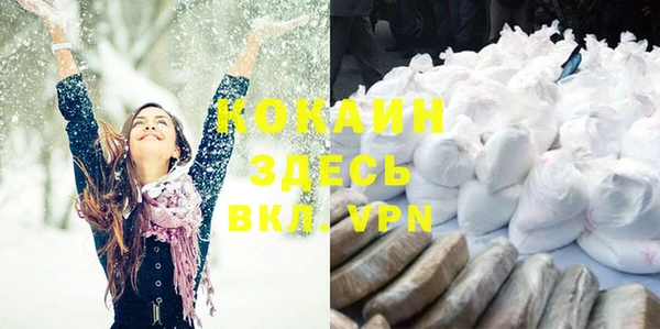 дмт Магас