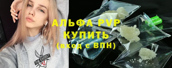 сатива Магадан