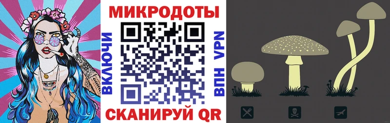 Псилоцибиновые грибы Psilocybe  Микунь 